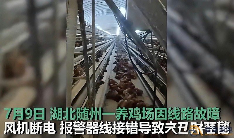 养鸡场为什么要24h监测温湿度断电报警器？